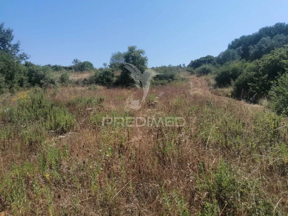 Terreno para Venda em Santo Quintino Foto 2