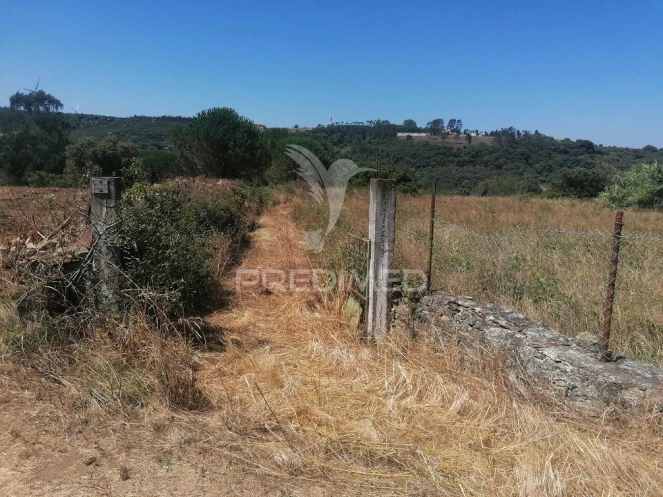 Terreno para Venda em Santo Quintino Foto 1