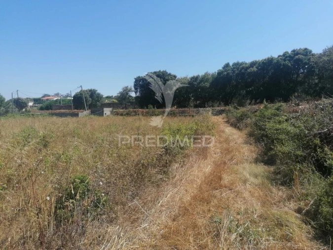 Terreno para Venda em Santo Quintino Foto 13