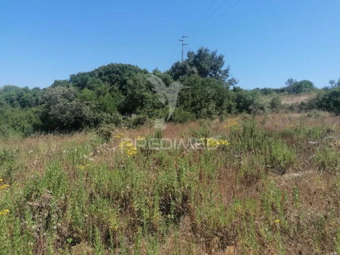 Terreno para Venda em Santo Quintino Foto 4