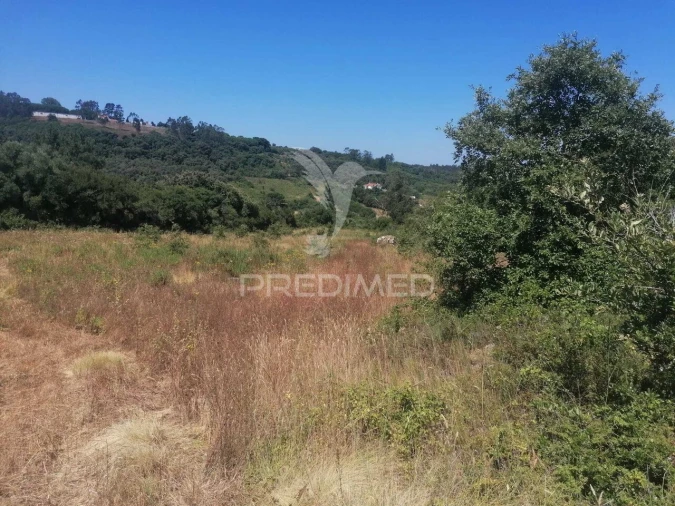 Terreno para Venda em Santo Quintino Foto 12