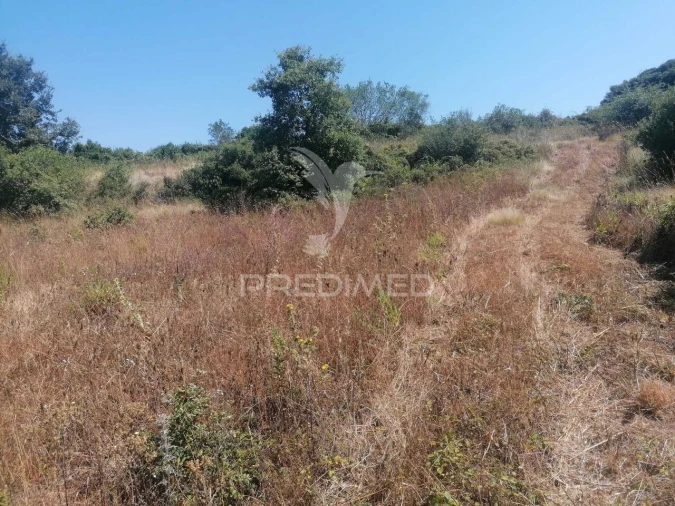 Terreno para Venda em Santo Quintino Foto 8