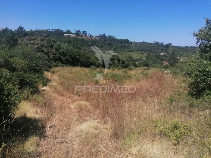 Terreno para Venda em Santo Quintino Foto 11