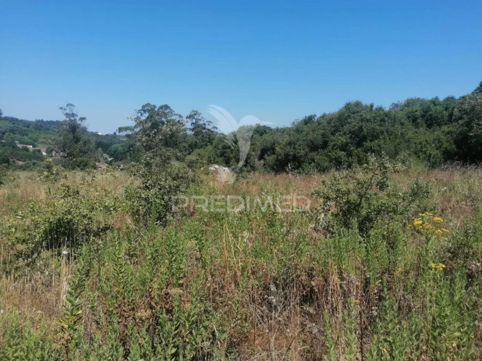 Terreno para Venda em Santo Quintino Foto 5