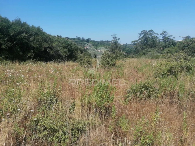 Terreno para Venda em Santo Quintino Foto 7