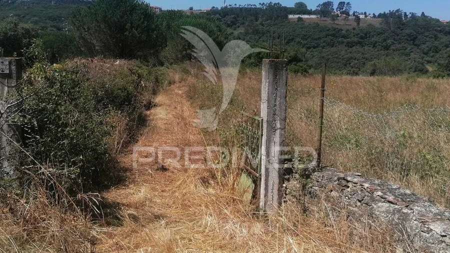 Terreno para Venda em Santo Quintino