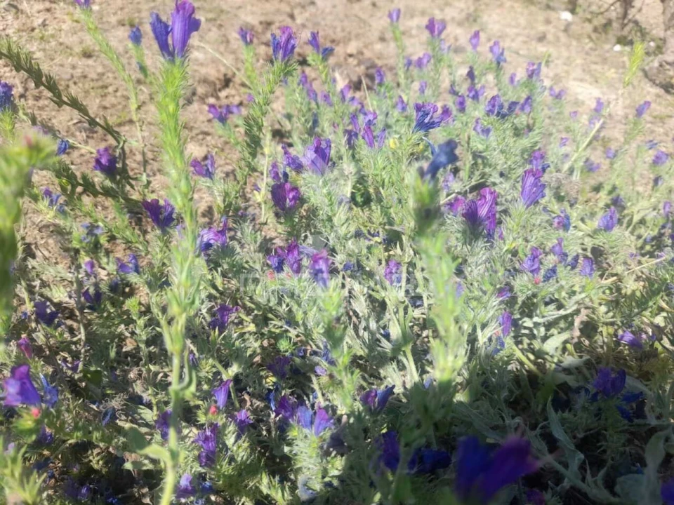 Moradia T3 para Venda em Poceirão e Marateca Foto 22