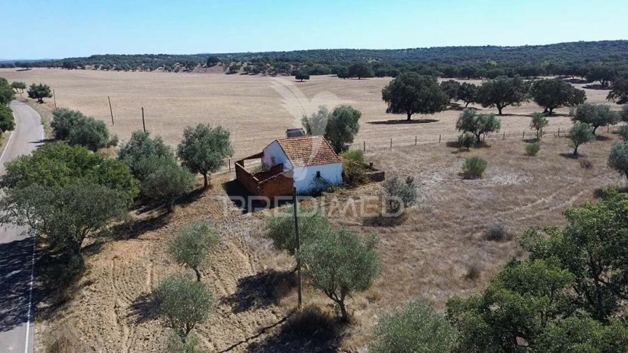 Quinta T1 para Venda em Pavia Foto 10