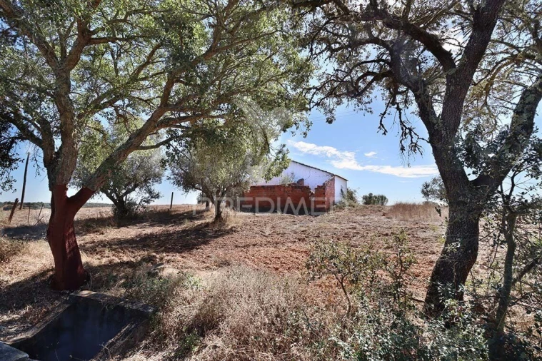 Quinta T1 para Venda em Pavia Foto 13