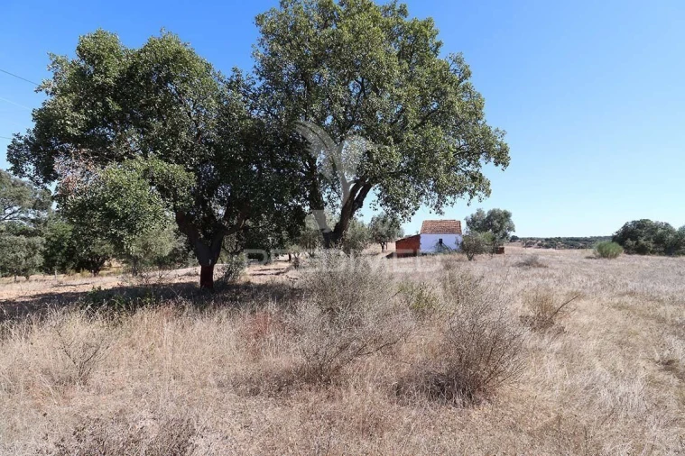 Quinta T1 para Venda em Pavia Foto 14