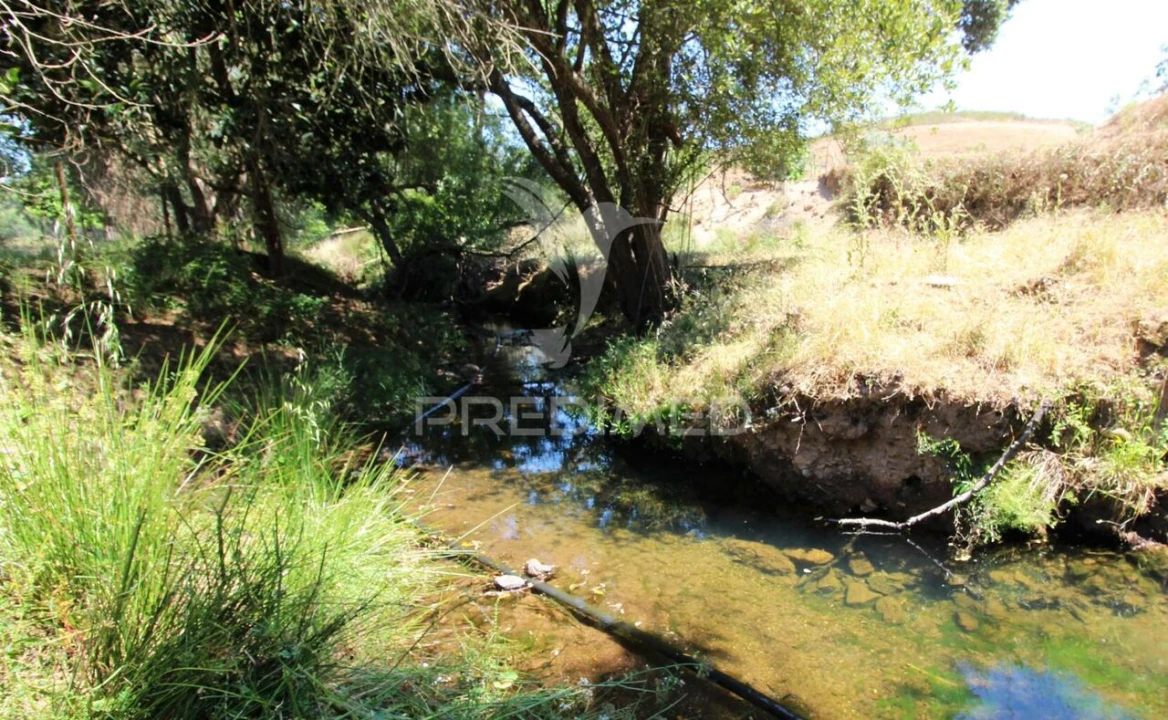 Terreno para Venda em Saboia Foto 13