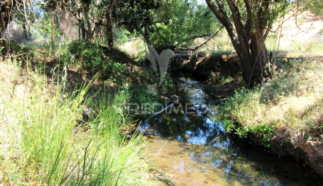 Terreno para Venda em Saboia Foto 12