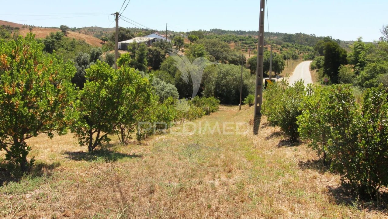 Terreno para Venda em Saboia Foto 14