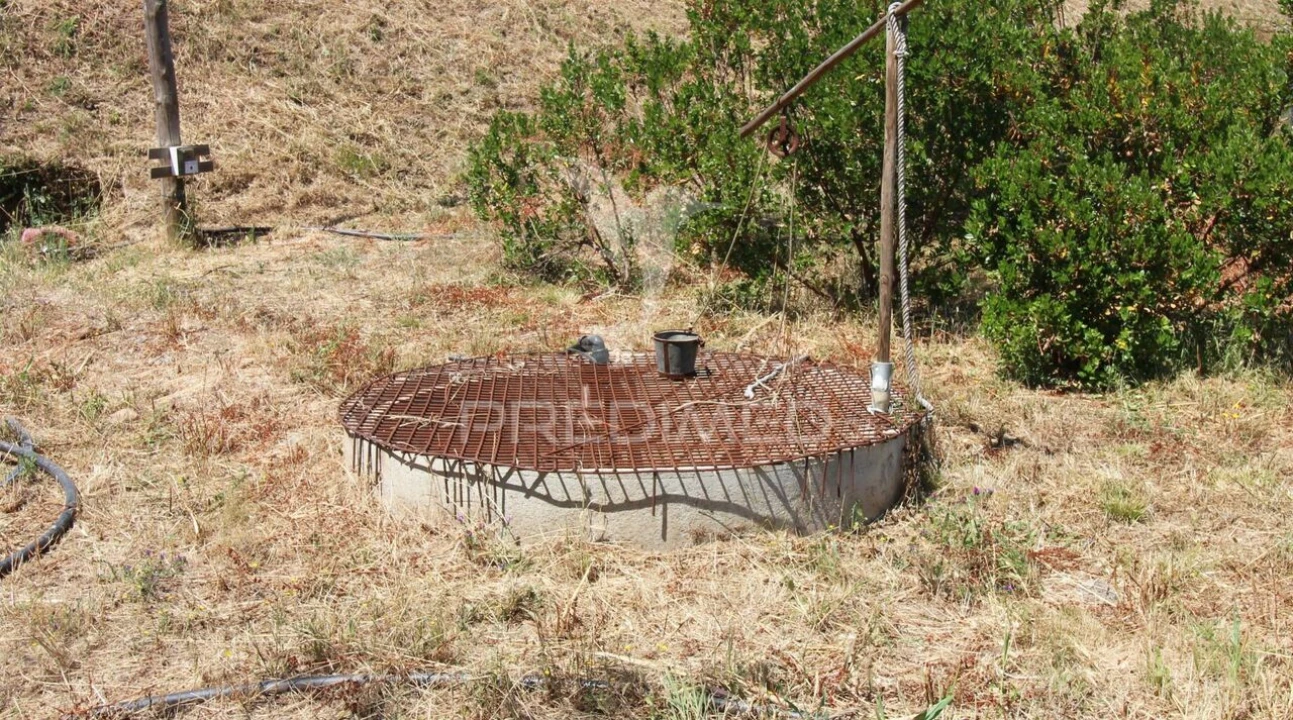 Terreno para Venda em Saboia Foto 17