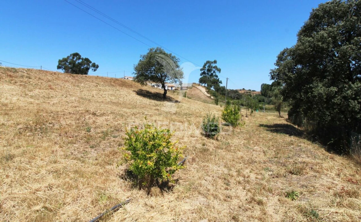 Terreno para Venda em Saboia Foto 15