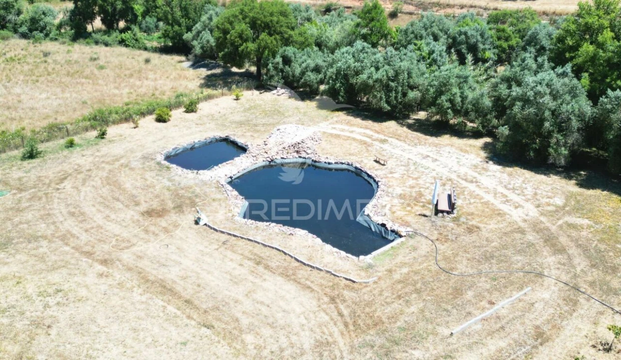 Terreno para Venda em Saboia Foto 4
