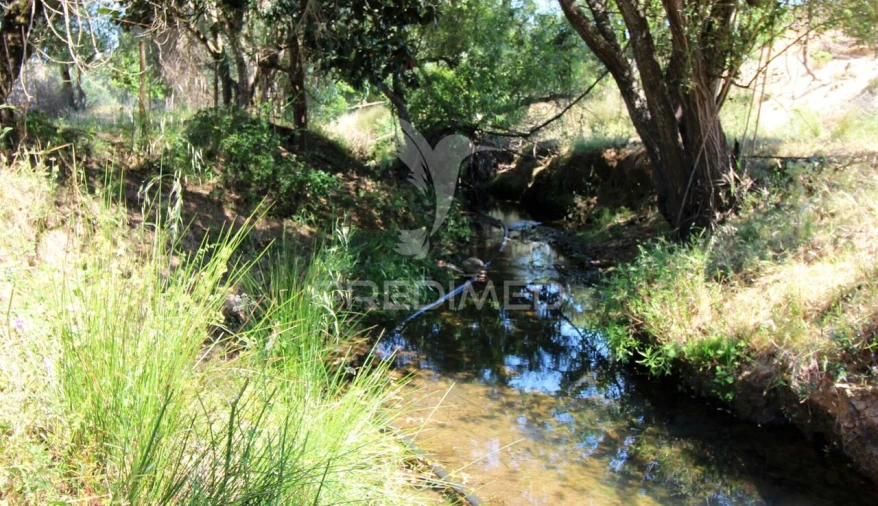 Terreno para Venda em Saboia Foto 12