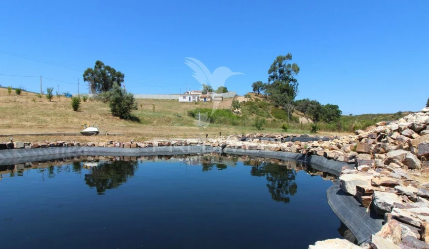 Terreno para Venda em Saboia Foto 10