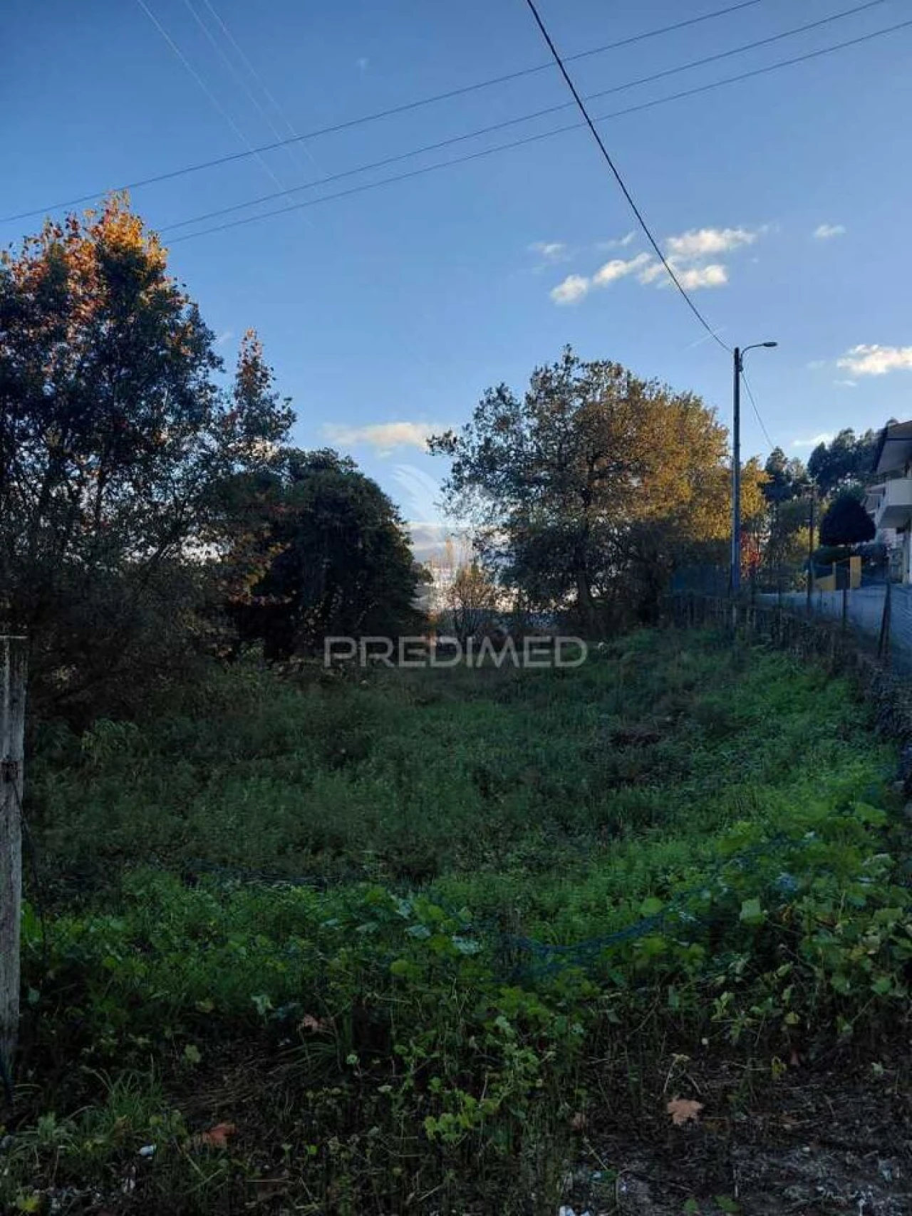 Terreno para Venda em Friande Foto 3