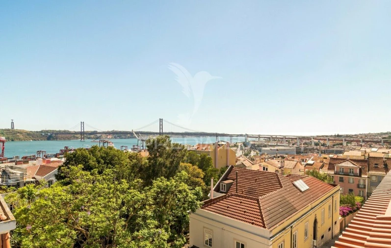 Apartamento T4 para Venda em Estrela Foto 37