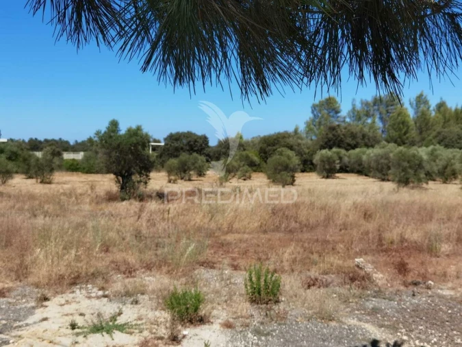 Moradia T9 para Venda em Bugalhos Foto 38