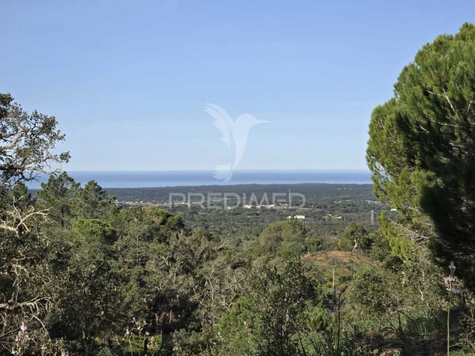 Terreno para Venda em Melides Foto 2