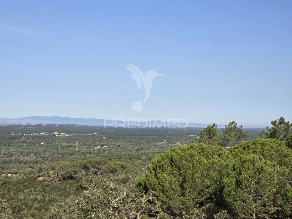 Terreno para Venda em Melides Foto 39