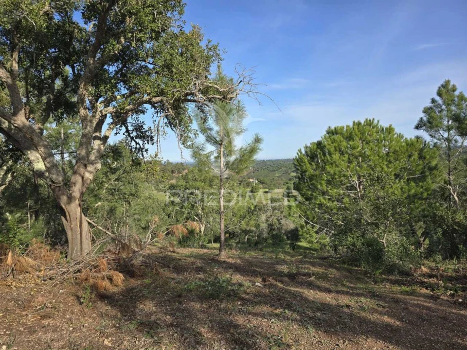 Terreno para Venda em Melides Foto 11