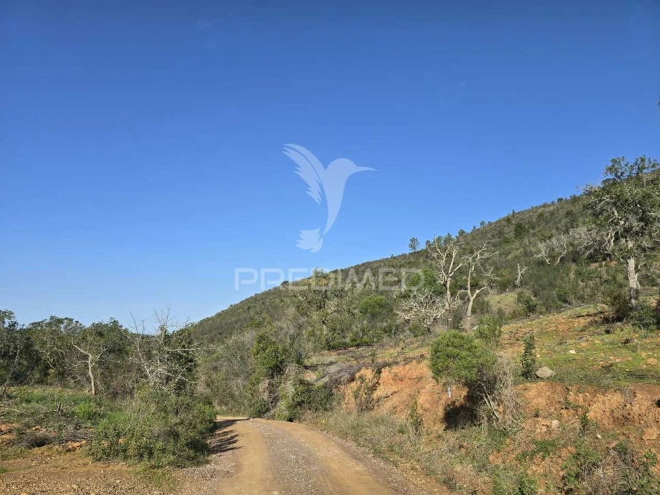 Terreno para Venda em Melides Foto 14