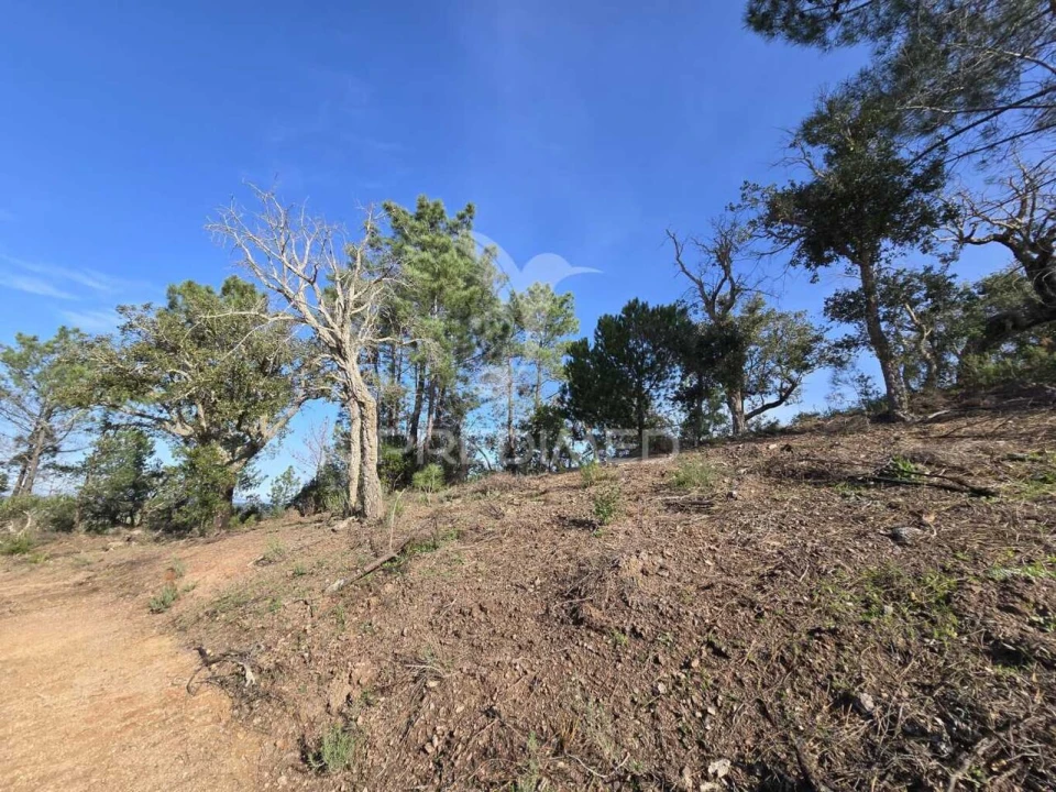 Terreno para Venda em Melides Foto 30
