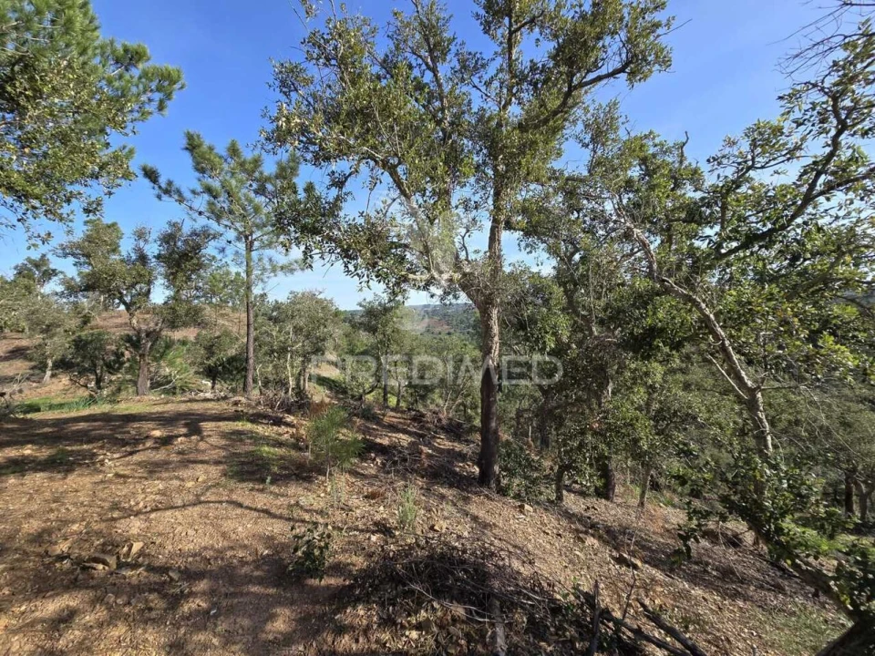 Terreno para Venda em Melides Foto 35