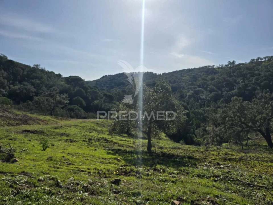Terreno para Venda em Melides Foto 13