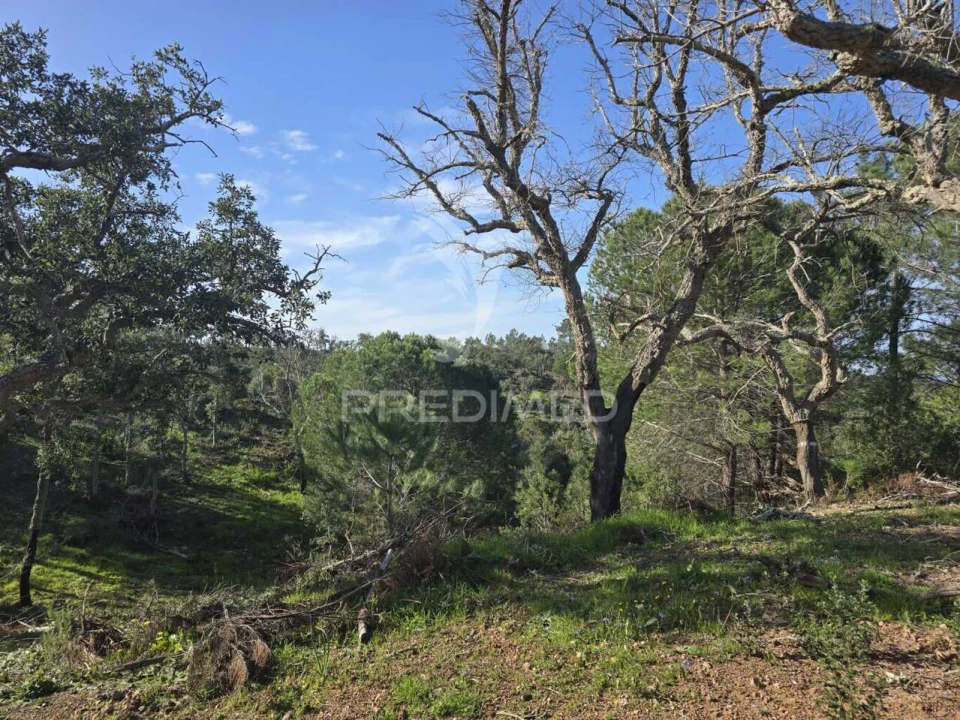 Terreno para Venda em Melides Foto 27