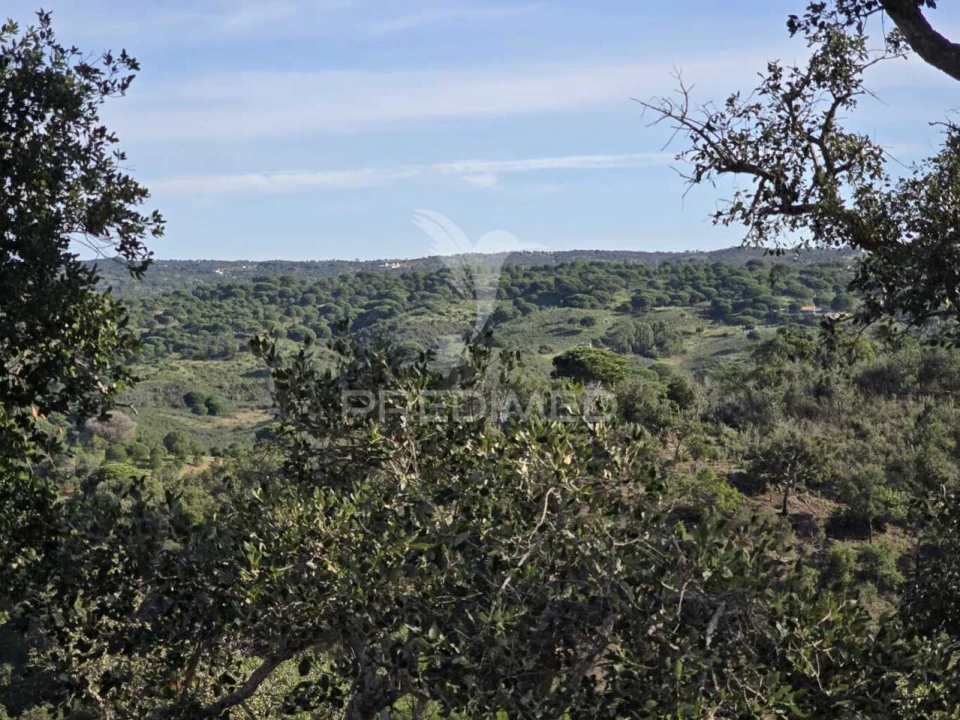 Terreno para Venda em Melides Foto 37