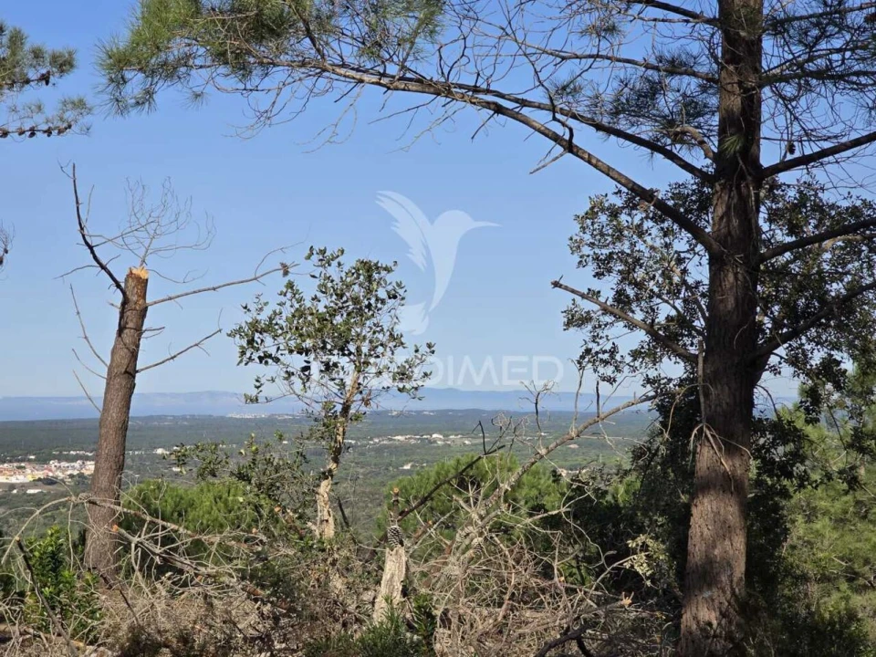Terreno para Venda em Melides Foto 26