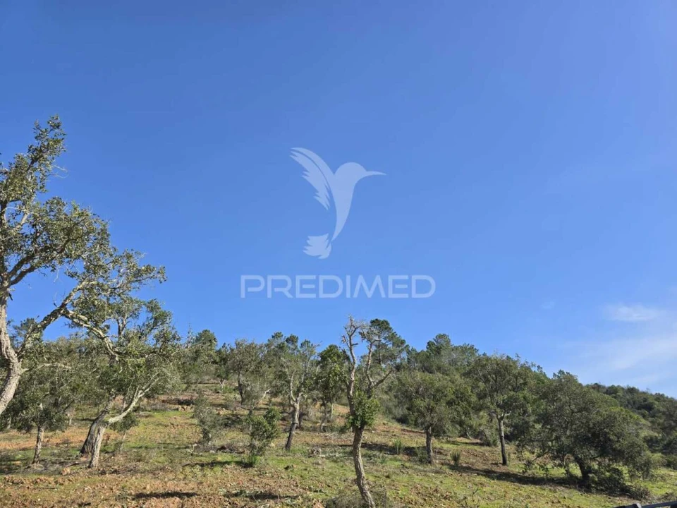 Terreno para Venda em Melides Foto 15