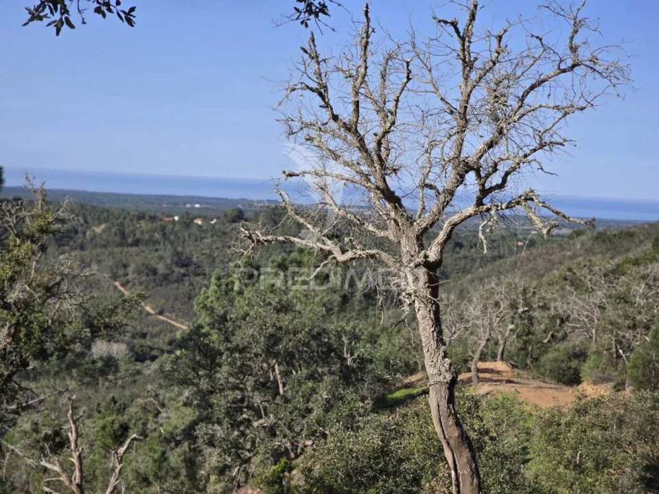Terreno para Venda em Melides Foto 18