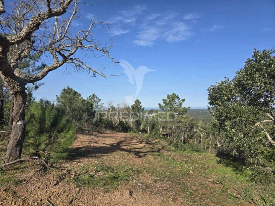 Terreno para Venda em Melides Foto 28