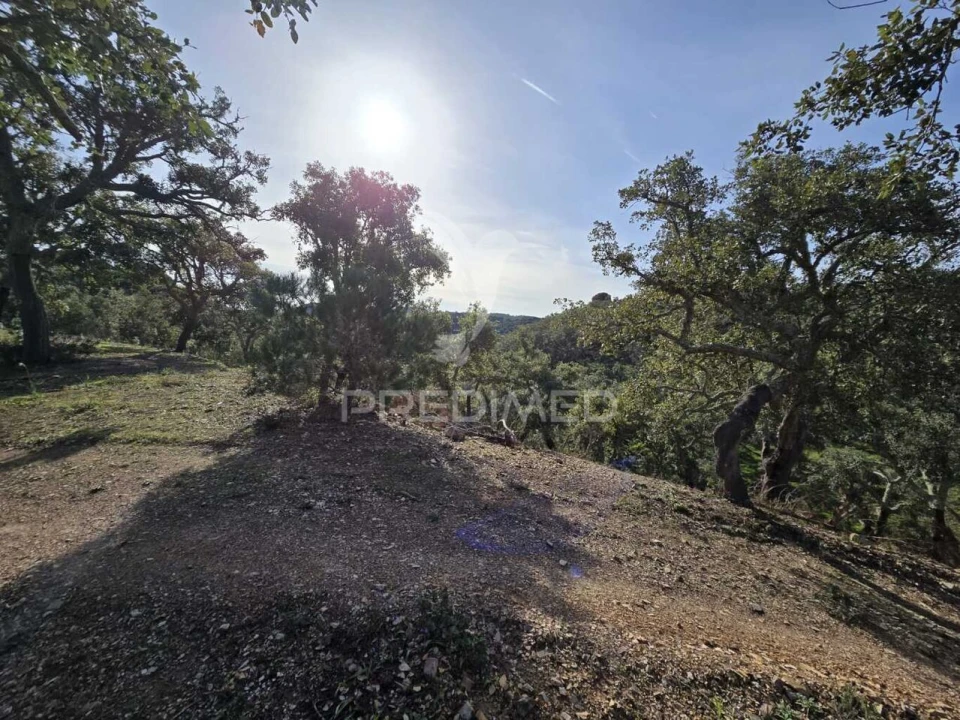 Terreno para Venda em Melides Foto 12
