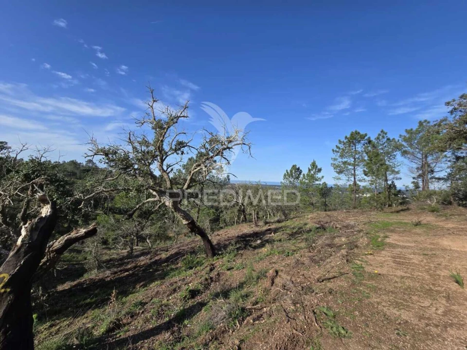 Terreno para Venda em Melides Foto 32