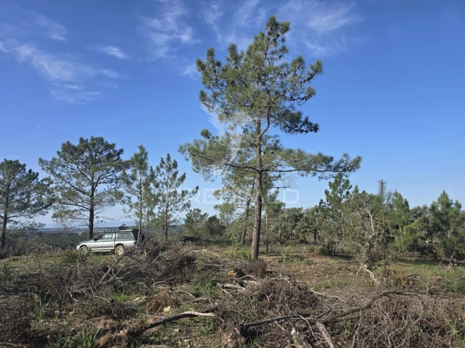 Terreno para Venda em Melides Foto 21