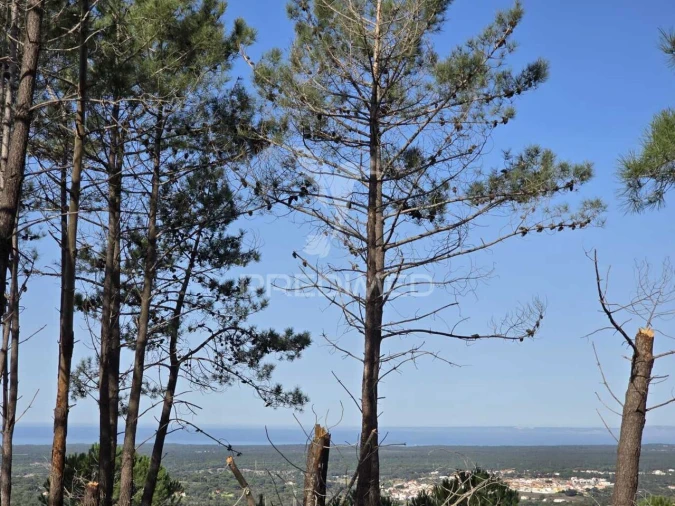 Terreno para Venda em Melides Foto 25