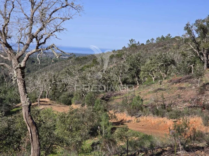 Terreno para Venda em Melides Foto 17