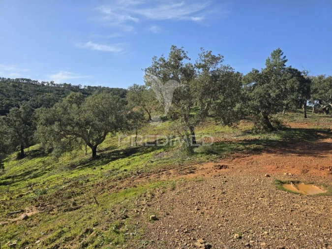 Terreno para Venda em Melides Foto 16