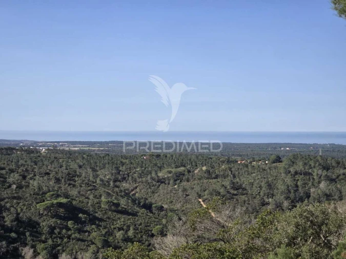 Terreno para Venda em Melides Foto 19