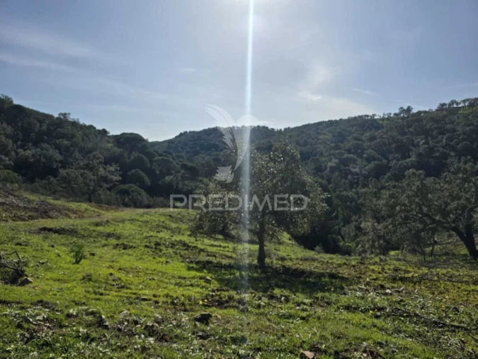 Terreno para Venda em Melides Foto 13