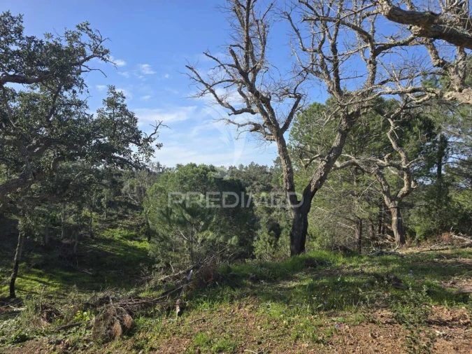 Terreno para Venda em Melides Foto 27