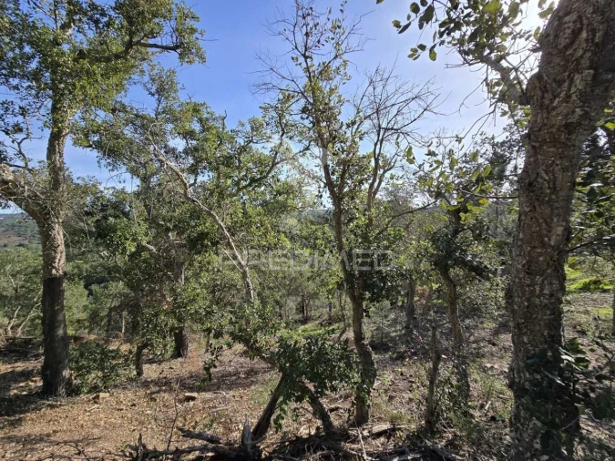 Terreno para Venda em Melides Foto 34