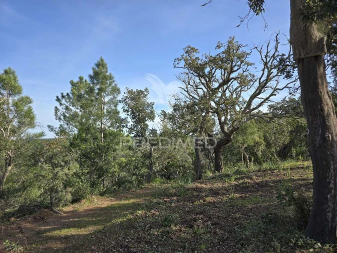 Terreno para Venda em Melides Foto 9
