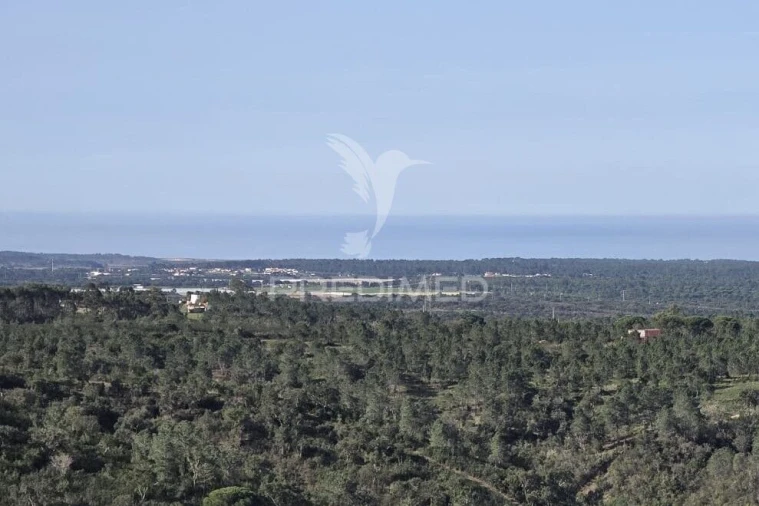 Terreno para Venda em Melides